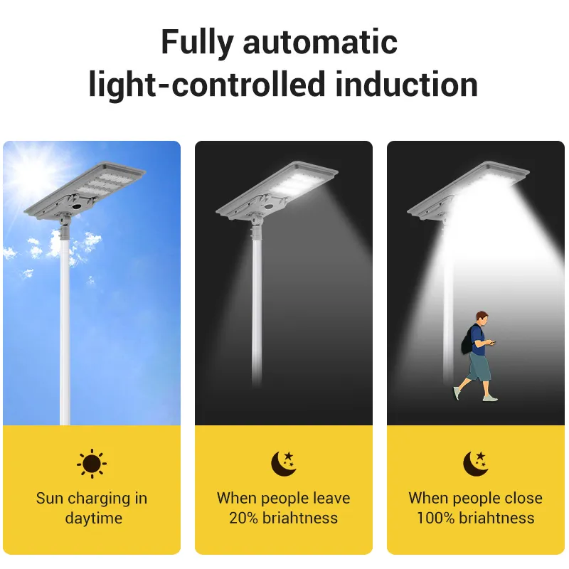 Energy-Efficient LED Solar Street Lamp