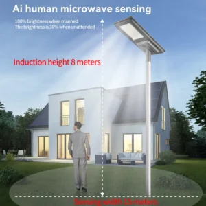 Quick-setup solar lighting with wide range Ai human microwave sensing
