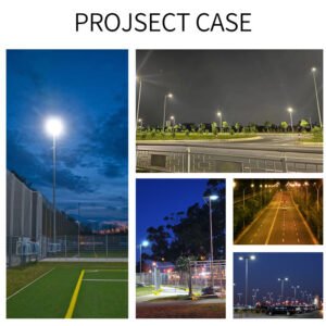 OEM street lights for driveways, parks, courtyard