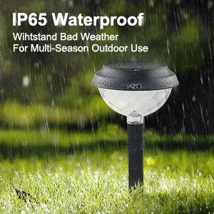 IP65 waterproof RGB lamps withstand bad weather for multi-season outdoor use.