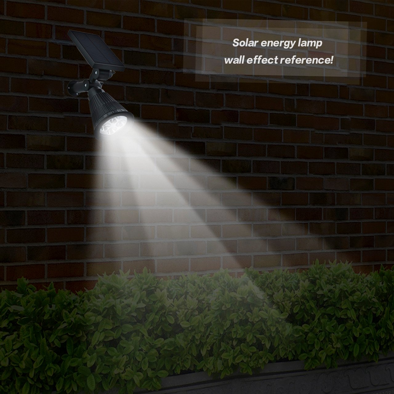 Ground plug lights can be inserted into the lawn or installed on the wall