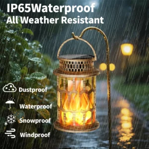 IP65 waterproof antique bronze palace light, all weather resistant, rain snow wind proof for outdoor.